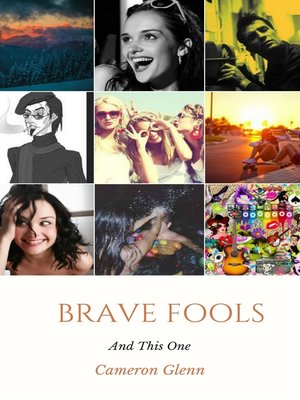cover image of Brave Fools and This One